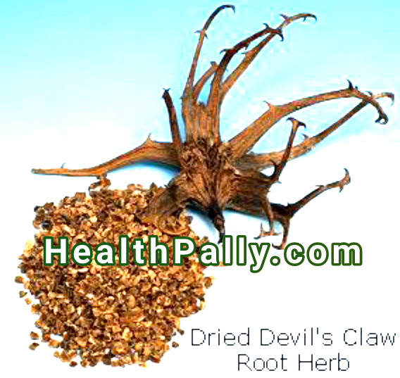 devil's claw side effects