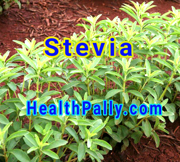 Stevia nutrition