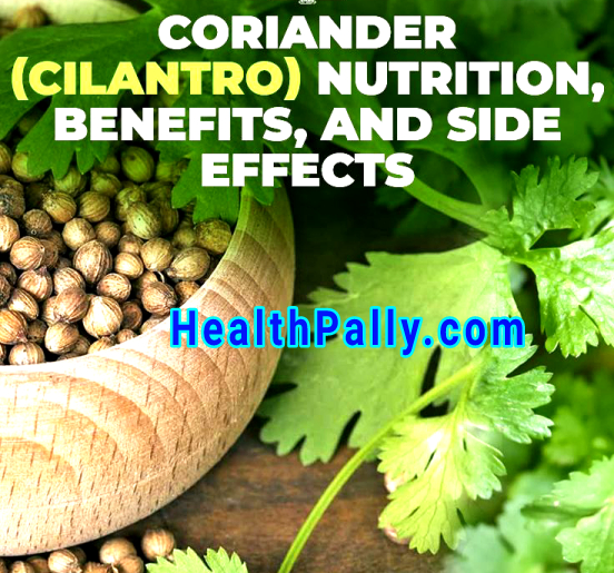 Coriander Cilantro nutrition, and benefits