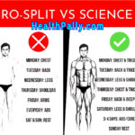 Full Muscle Groups Exercise Vs Split Steady Workouts Which is better in full body vs split workouts