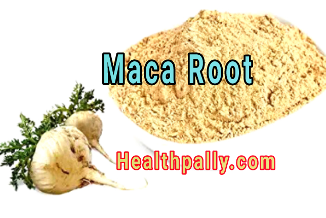 Maca root extracts health benefits