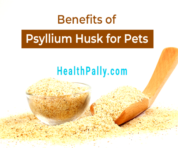 Health benefits of psyllium husk