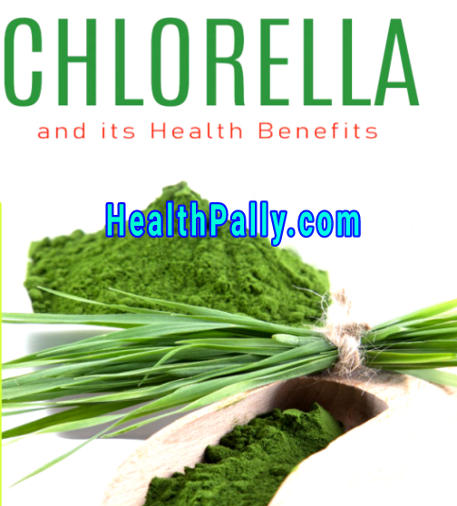 Chlorella alga extract uses and benefits