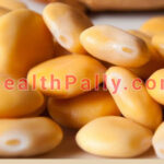 Lupine Grain - what Scientific studies revealed about it Studies on the benefits of lupine grains
