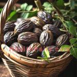 Tonka Bean Extracts - Coumarine: Uses and Various Healthy Effects Uses and Benefits of tonka beans