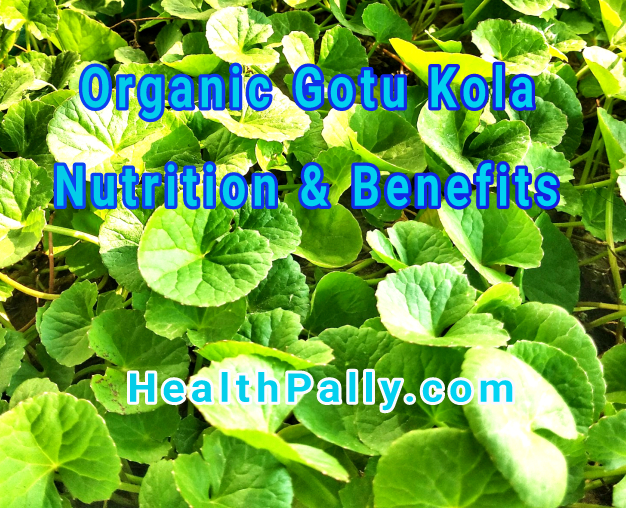 Organic Gotu Kola Nutrition