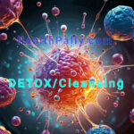 Detoxification: Methods and Procedures of Cleansing the Body from Toxins How to cleanse the body system