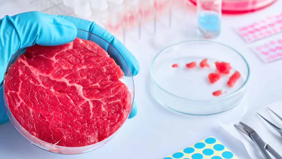 What is lab grown or cultured meat