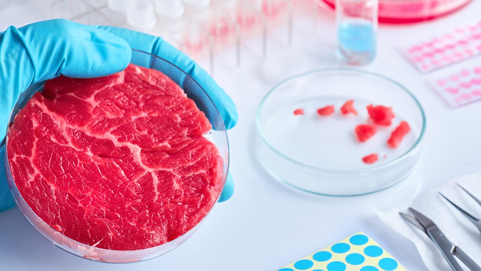 What is lab grown or cultured meat 