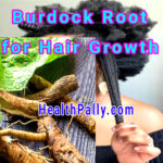 Burdock Root Oil for Growth of Hair and Eyelashes Burdock oil for eyelashes and hair growth