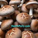 How to Get Quality Shiitake Mushroom Benefits of shiitake mushrooms