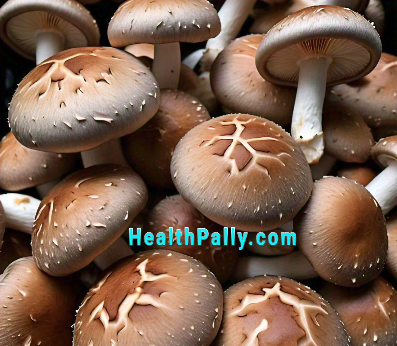 Benefits of shiitake mushrooms 