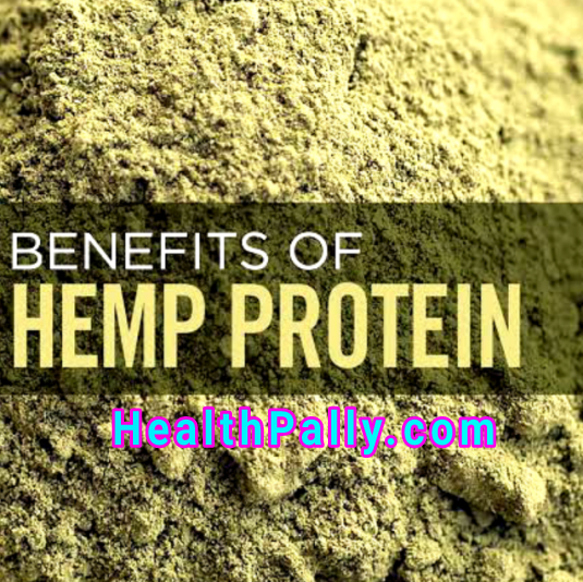 Health Benefits of hemp protein powder