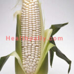 How to use White Corn Facts about white corn