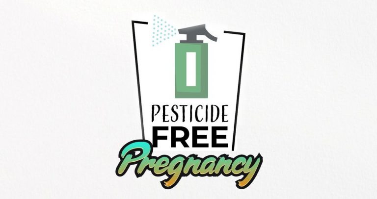 effects of pesticides on pregnancy and playing safe