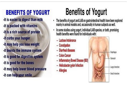 Benefits of yogurt for male sexually