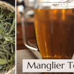 What is Manglier tea and how much to drink