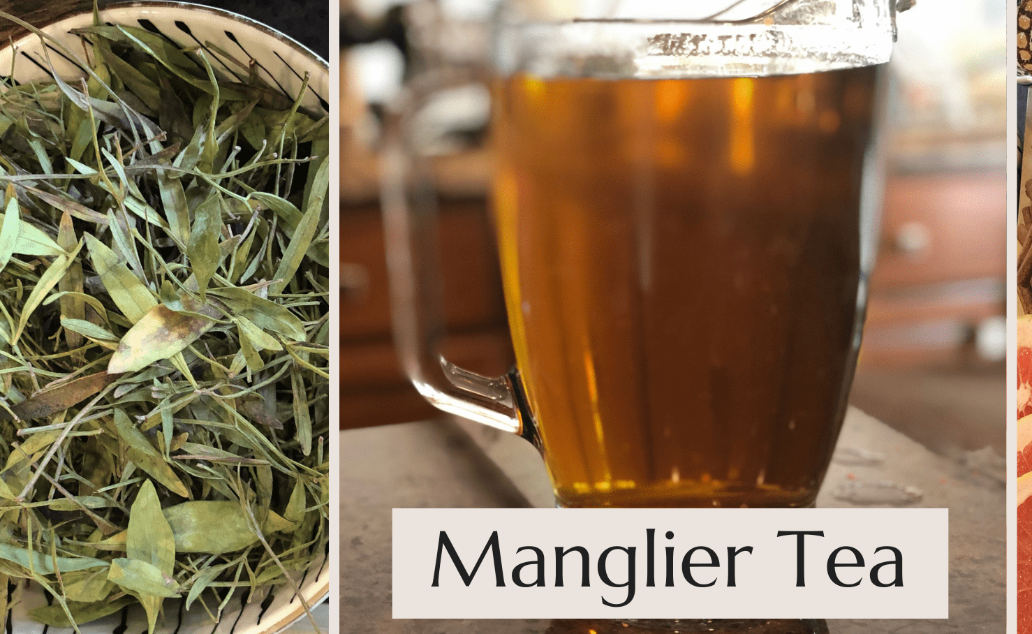 What is Manglier tea and how much to drink