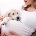 Benefits and problems of having pets around pregnant women