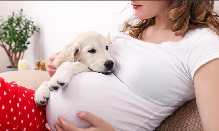 Benefits and problems of having pets around pregnant women