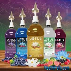 Lotus energy drink ingredients and benefits