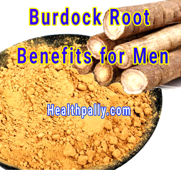 How is burdock root food and tea food for men